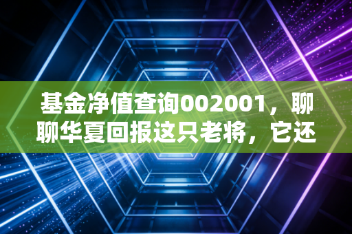 基金净值查询002001,聊聊华夏回报这只老将,它还能不能做你的理财压舱石?