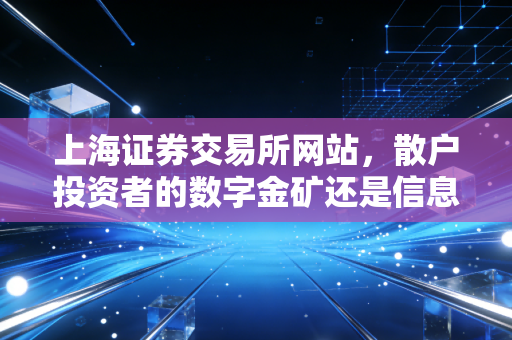 上海证券交易所网站，散户投资者的数字金矿还是信息迷宫？