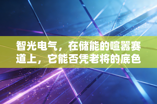 智光电气，在储能的喧嚣赛道上，它能否凭老将的底色杀出重围？
