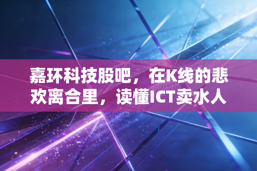 嘉环科技股吧,在K线的悲欢离合里,读懂ICT卖水人的长期主义