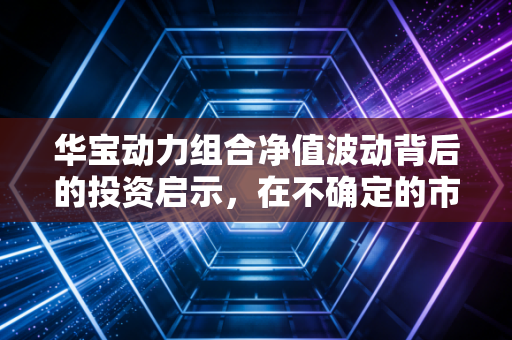 华宝动力组合净值波动背后的投资启示，在不确定的市场中寻找确定的动力