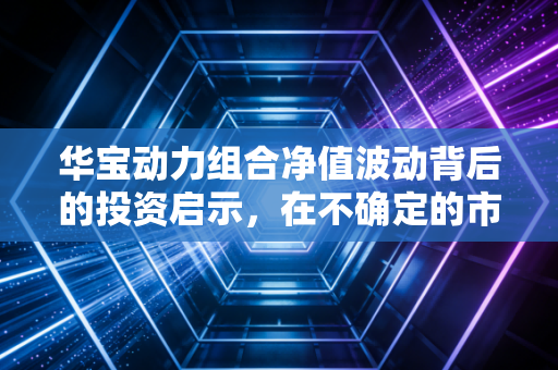 华宝动力组合净值波动背后的投资启示，在不确定的市场中寻找确定的动力