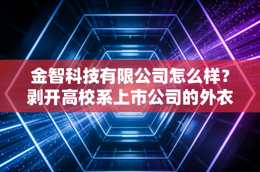 金智科技有限公司怎么样？剥开高校系上市公司的外衣，聊聊它的真实底色与未来
