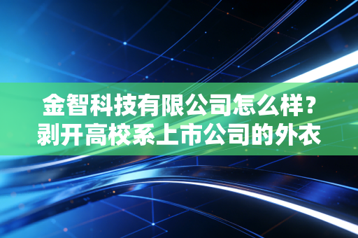 金智科技有限公司怎么样？剥开高校系上市公司的外衣，聊聊它的真实底色与未来