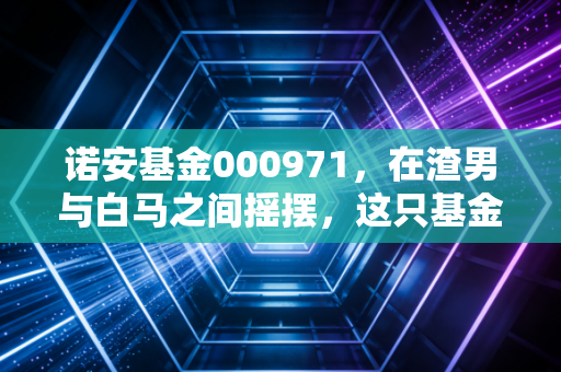 诺安基金000971，在渣男与白马之间摇摆，这只基金到底能不能买？