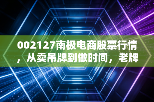 002127南极电商股票行情,从卖吊牌到做时间,老牌电商的困局与突围