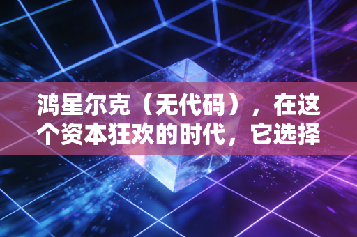鸿星尔克（无代码），在这个资本狂欢的时代，它选择做一个笨拙的长期主义者