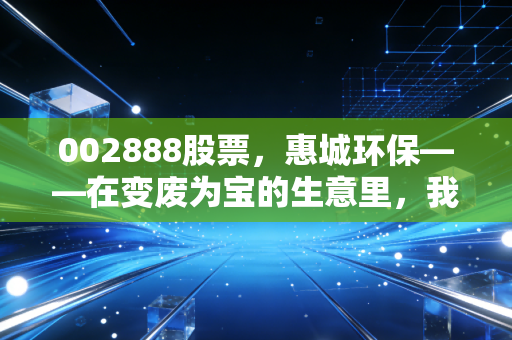 002888股票，惠城环保——在变废为宝的生意里，我们到底在赌什么？