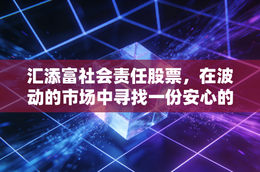 汇添富社会责任股票,在波动的市场中寻找一份安心的长期收益
