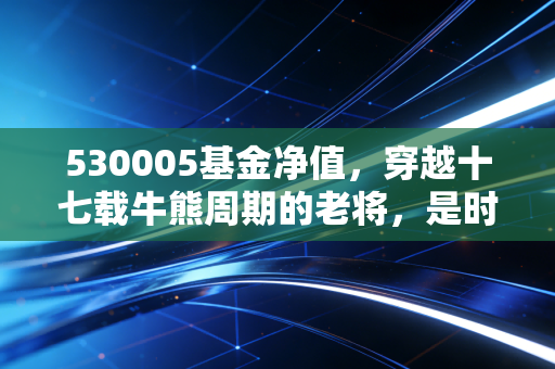 530005基金净值，穿越十七载牛熊周期的老将，是时候重新审视它了吗？