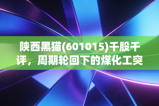 陕西黑猫(601015)千股千评,周期轮回下的煤化工突围,是黄金坑还是深水区?
