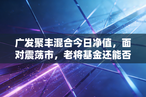 广发聚丰混合今日净值，面对震荡市，老将基金还能否成为我们的避风港？