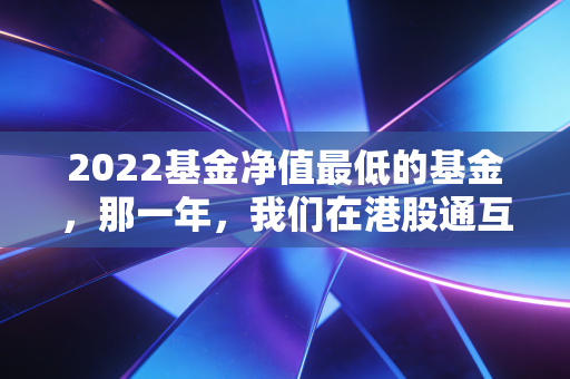 2022基金净值最低的基金，那一年，我们在港股通互联网上跌倒的痛