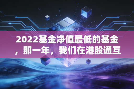 2022基金净值最低的基金，那一年，我们在港股通互联网上跌倒的痛