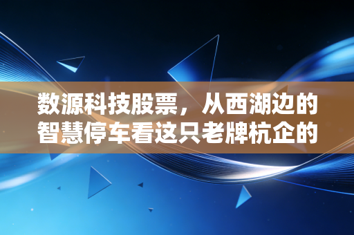 数源科技股票，从西湖边的智慧停车看这只老牌杭企的突围与困局