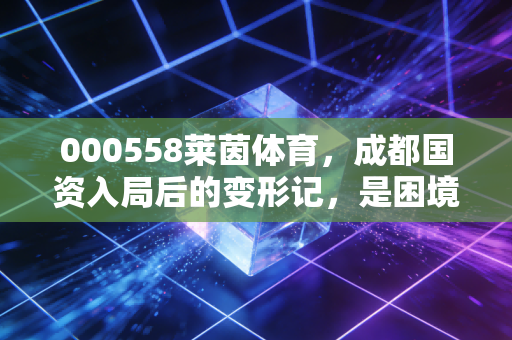 000558莱茵体育,成都国资入局后的变形记,是困境反转还是资本幻象?