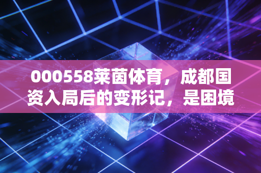 000558莱茵体育，成都国资入局后的变形记，是困境反转还是资本幻象？