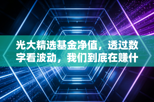 光大精选基金净值,透过数字看波动,我们到底在赚什么钱?