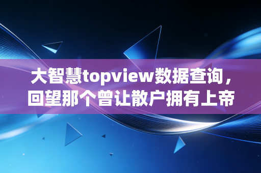 大智慧topview数据查询,回望那个曾让散户拥有上帝视角的传奇工具与投资启示