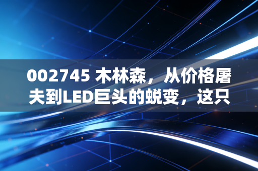 002745 木林森，从价格屠夫到LED巨头的蜕变，这只股还能买吗？