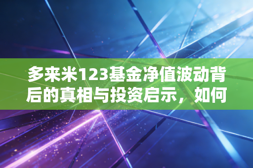 多来米123基金净值波动背后的真相与投资启示，如何在不确定的市场中寻找确定性？
