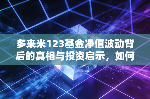 多来米123基金净值波动背后的真相与投资启示,如何在不确定的市场中寻找确定性?