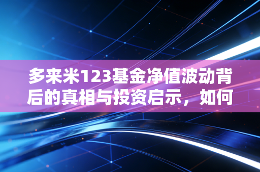 多来米123基金净值波动背后的真相与投资启示，如何在不确定的市场中寻找确定性？