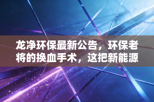 龙净环保最新公告,环保老将的换血手术,这把新能源的赌注你看懂了吗?