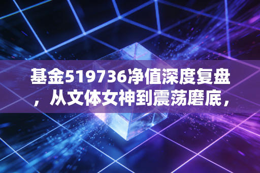 基金519736净值深度复盘，从文体女神到震荡磨底，我们该如何坚守？