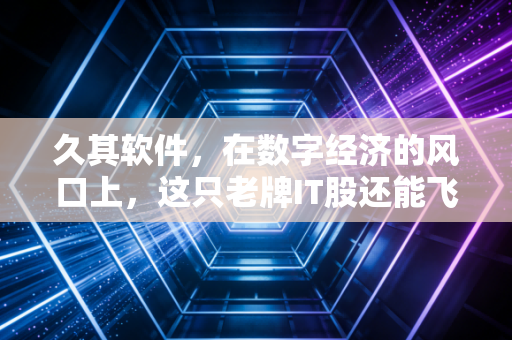 久其软件，在数字经济的风口上，这只老牌IT股还能飞多远？