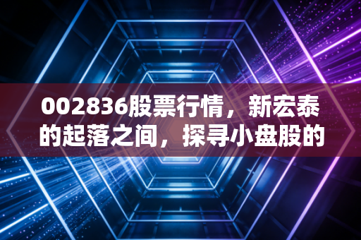 002836股票行情，新宏泰的起落之间，探寻小盘股的生存法则与投资博弈