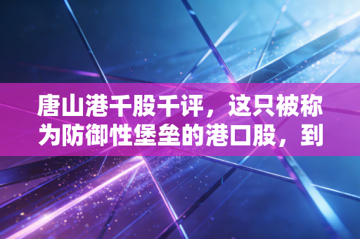 唐山港千股千评，这只被称为防御性堡垒的港口股，到底值不值得我们长期托付？