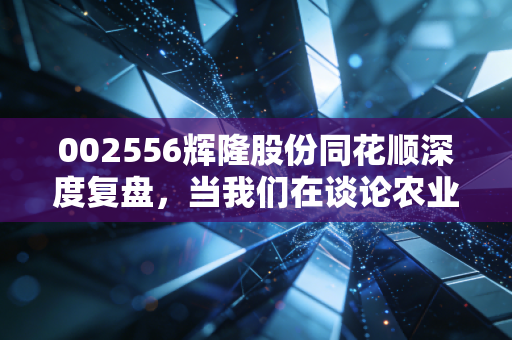 002556辉隆股份同花顺深度复盘，当我们在谈论农业供应链时，究竟在看什么？