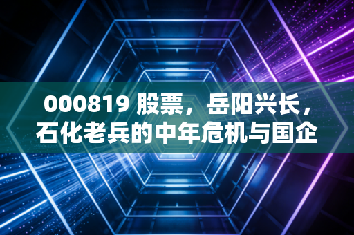 000819 股票，岳阳兴长，石化老兵的中年危机与国企改革的想象空间