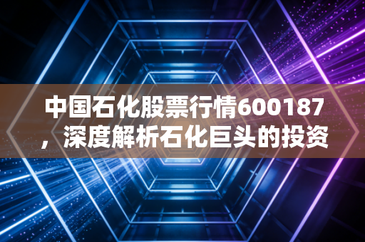 中国石化股票行情600187，深度解析石化巨头的投资逻辑与未来展望