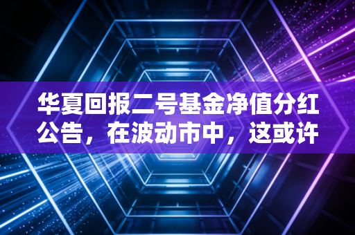 华夏回报二号基金净值分红公告，在波动市中，这或许是你最期待的年终奖