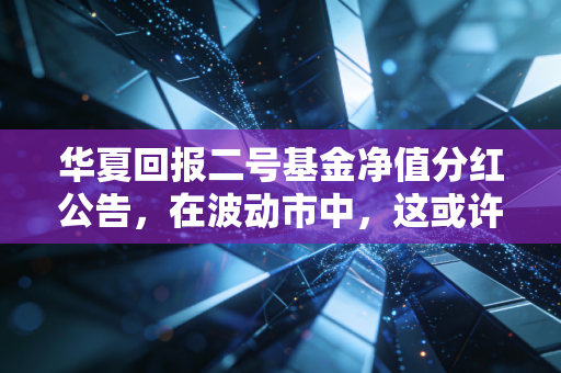 华夏回报二号基金净值分红公告，在波动市中，这或许是你最期待的年终奖