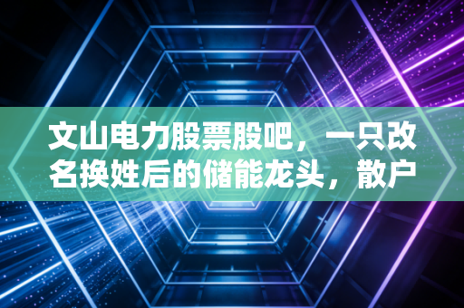 文山电力股票股吧，一只改名换姓后的储能龙头，散户们都在聊些什么？