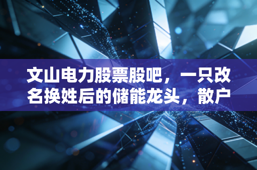 文山电力股票股吧，一只改名换姓后的储能龙头，散户们都在聊些什么？