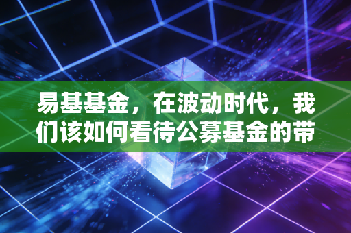 易基基金,在波动时代,我们该如何看待公募基金的带头大哥?
