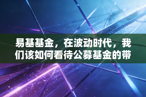 易基基金，在波动时代，我们该如何看待公募基金的带头大哥？