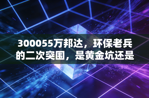 300055万邦达，环保老兵的二次突围，是黄金坑还是业绩雷？