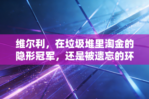 维尔利，在垃圾堆里淘金的隐形冠军，还是被遗忘的环保老兵？