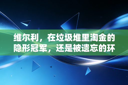 维尔利，在垃圾堆里淘金的隐形冠军，还是被遗忘的环保老兵？