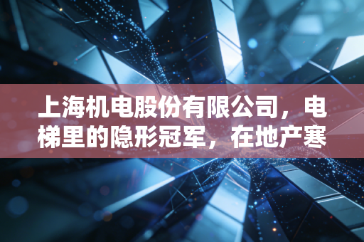 上海机电股份有限公司，电梯里的隐形冠军，在地产寒冬中如何寻找暖意？