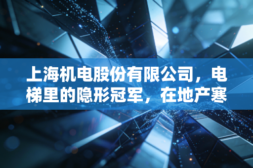 上海机电股份有限公司，电梯里的隐形冠军，在地产寒冬中如何寻找暖意？