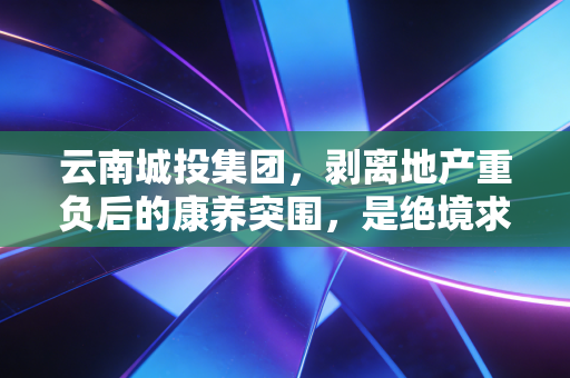 云南城投集团，剥离地产重负后的康养突围，是绝境求生还是顺势而为？