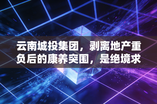 云南城投集团，剥离地产重负后的康养突围，是绝境求生还是顺势而为？