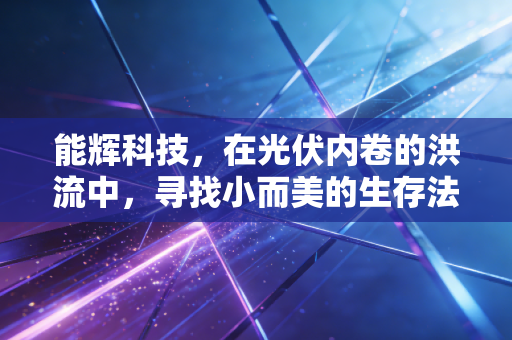 能辉科技，在光伏内卷的洪流中，寻找小而美的生存法则