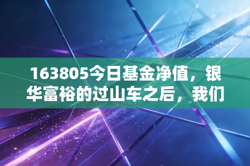 163805今日基金净值，银华富裕的过山车之后，我们该何去何从？